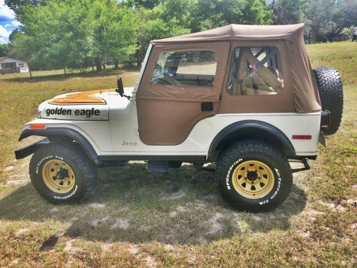 1979 Jeep CJ5 Golden Eagle For Sale: Unearthing a True American Icon