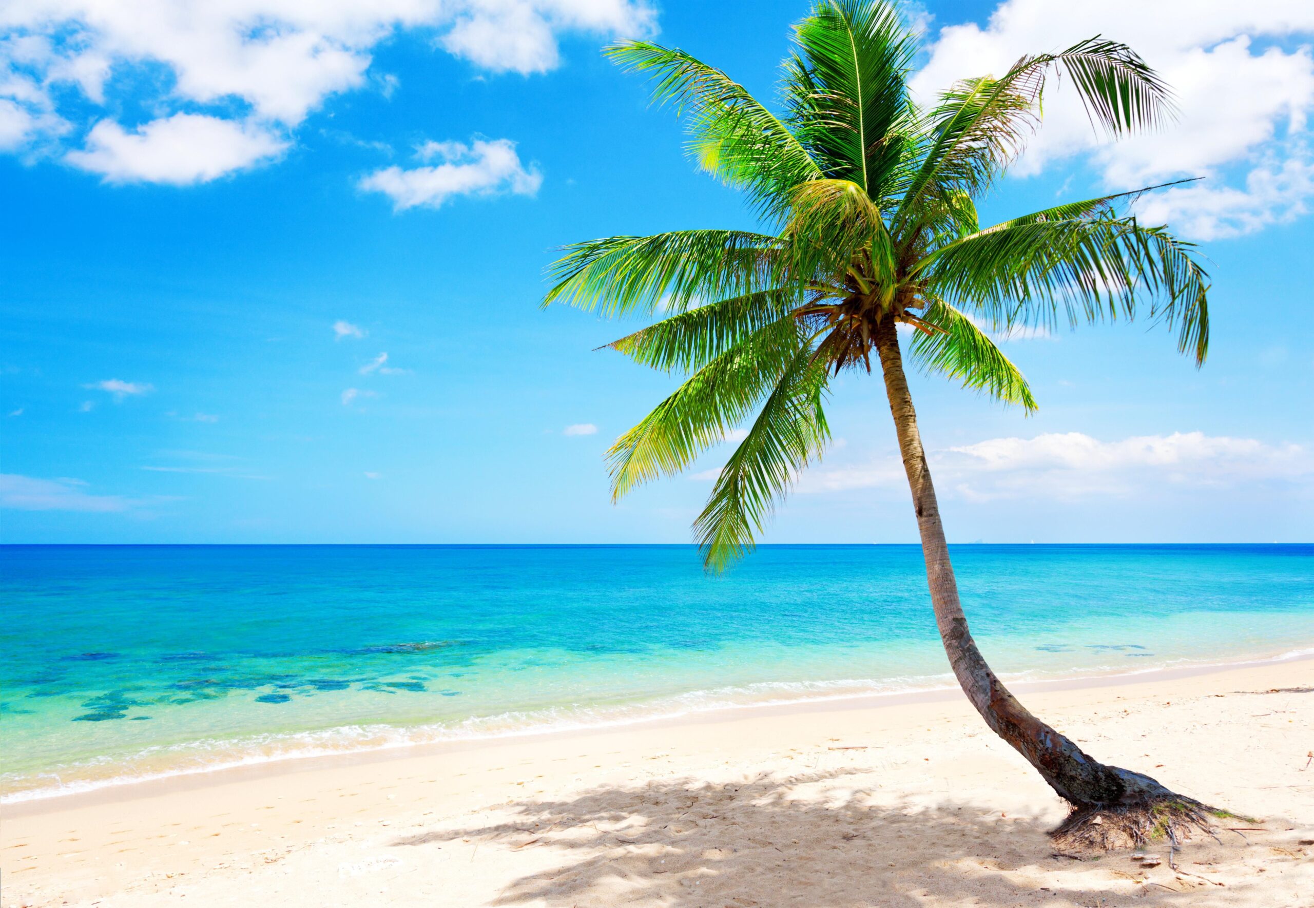 Beach Accessories For Jeep Wrangler: Your Ultimate Guide to Sun, Sand, and Adventure