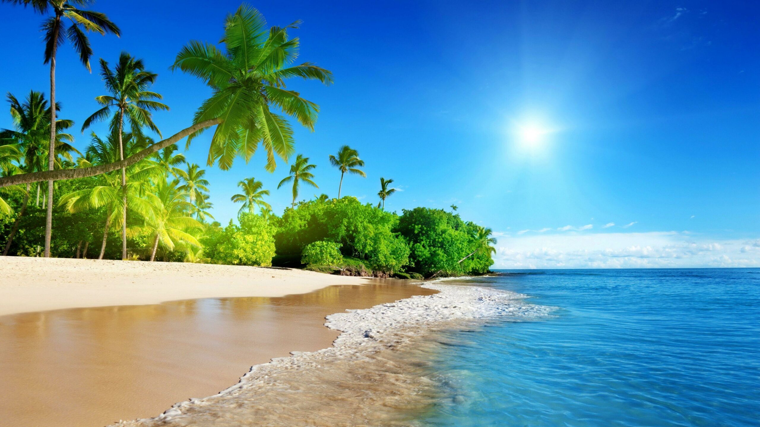 Beach Jeep For Sale: Your Ultimate Guide to Coastal Cruising