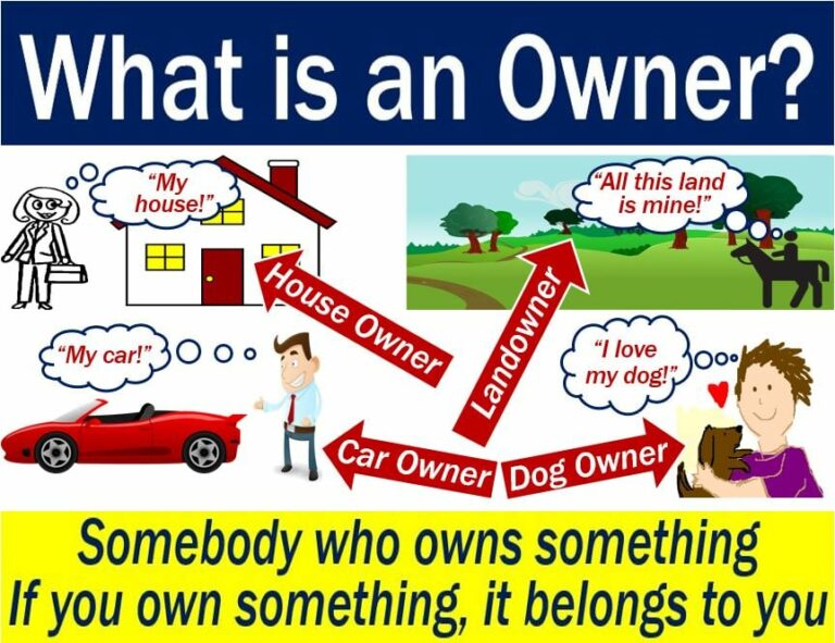 Owner Type Jeep For Sale In Tarlac: Your Comprehensive Guide to Finding and Owning a Philippine Icon