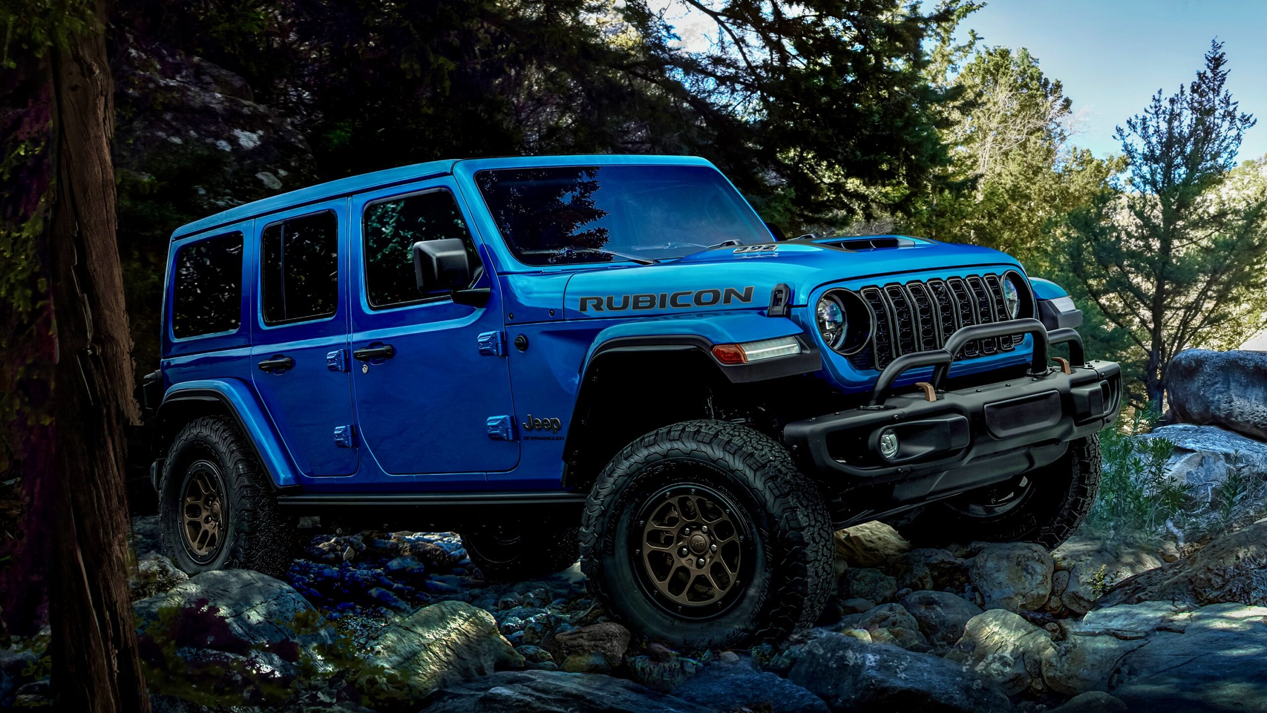 Rubicon Tank Clearcoat Jeep For Sale