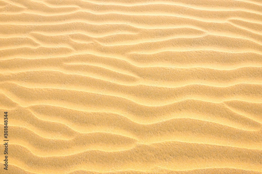 Sand Drag Jeep For Sale: Your Ultimate Guide to Unleashing the Power of the Dunes