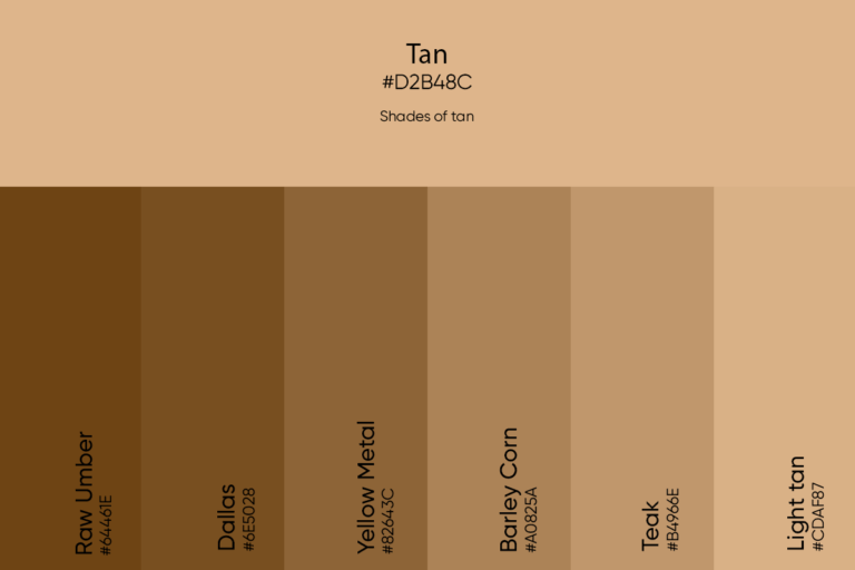 Tan Jeep For Sale Florida: Your Ultimate Guide to Finding the Perfect Ride