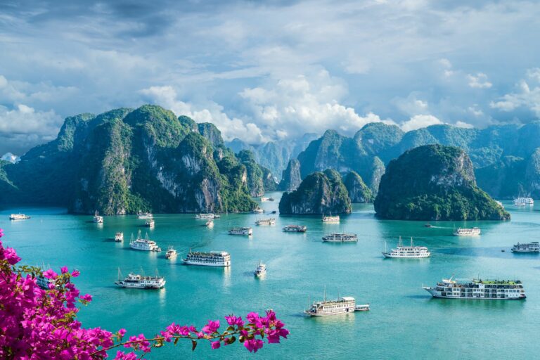 Vietnam Jeep For Sale: A Comprehensive Guide to Owning a Piece of History