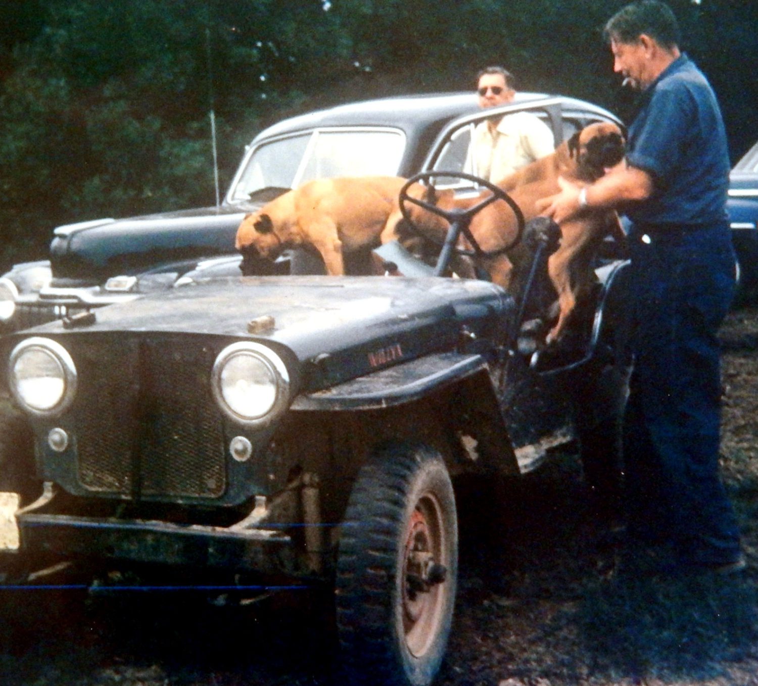 Willys Farm Jeep For Sale: Your Guide to Acquiring a Timeless Workhorse Willys Farm Jeep For Sale: Your Guide to Acquiring a Timeless Workhorse